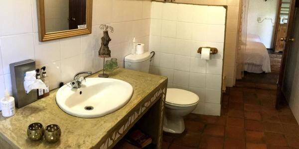 标准间, Old Joe S Kaia