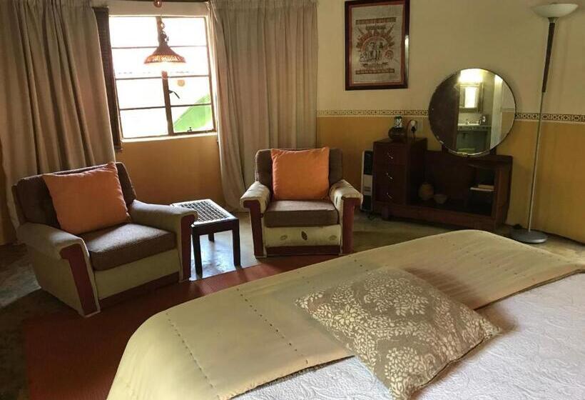 标准间, Old Joe S Kaia