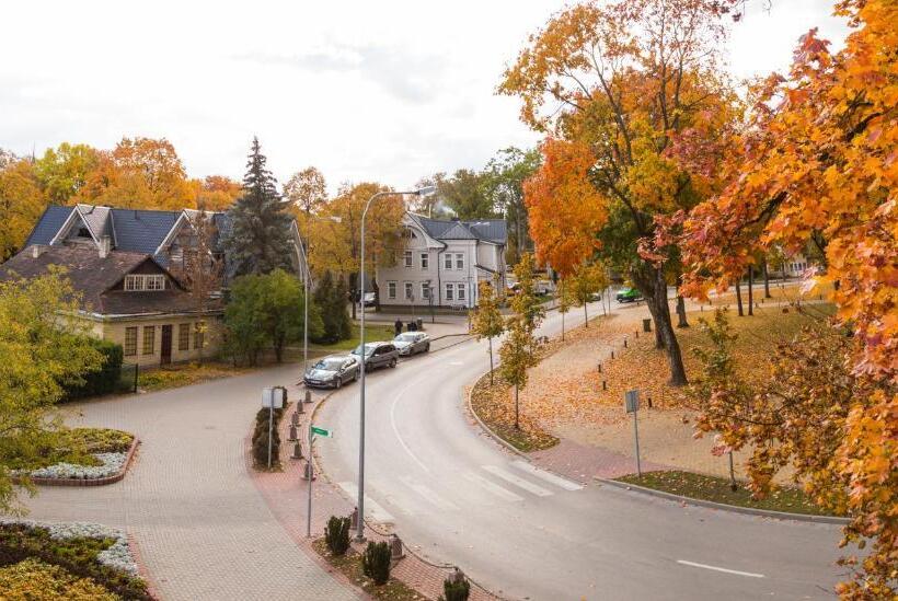 آپارتمان سوپریور 1 خوابه, Apartment Hotel Laisve