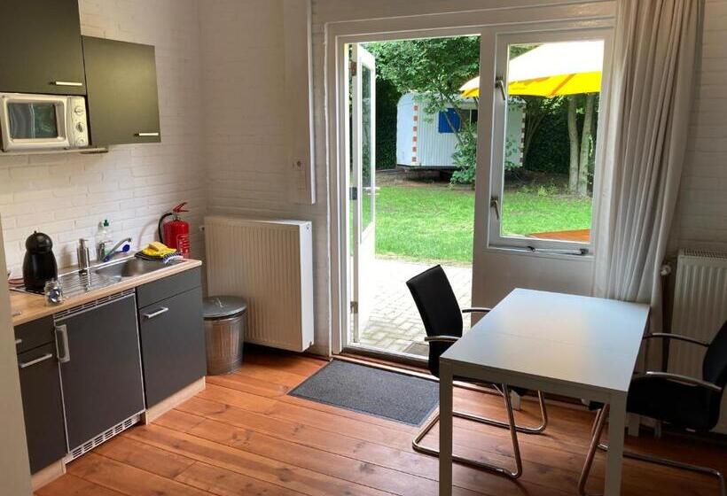 Студия Стандарт, B&b De Bievangh