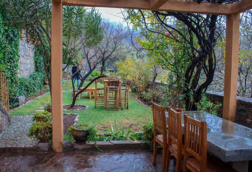 اتاق استاندارد با چشم‌انداز باغ, Atlas Ijoukak