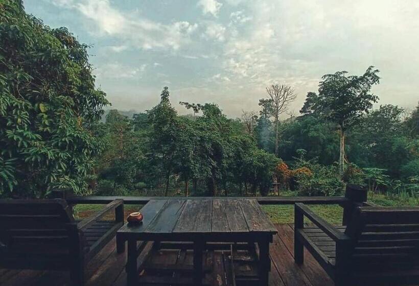 Quarto Standard Cama King, Jungle Guesthouse