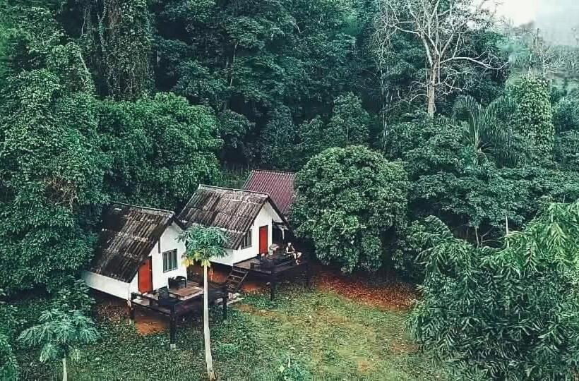 اتاق استاندارد با تخت بزرگ, Jungle Guesthouse