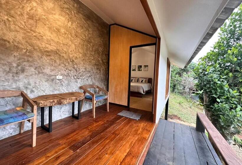 Quarto Superior Cama King, Jungle Guesthouse