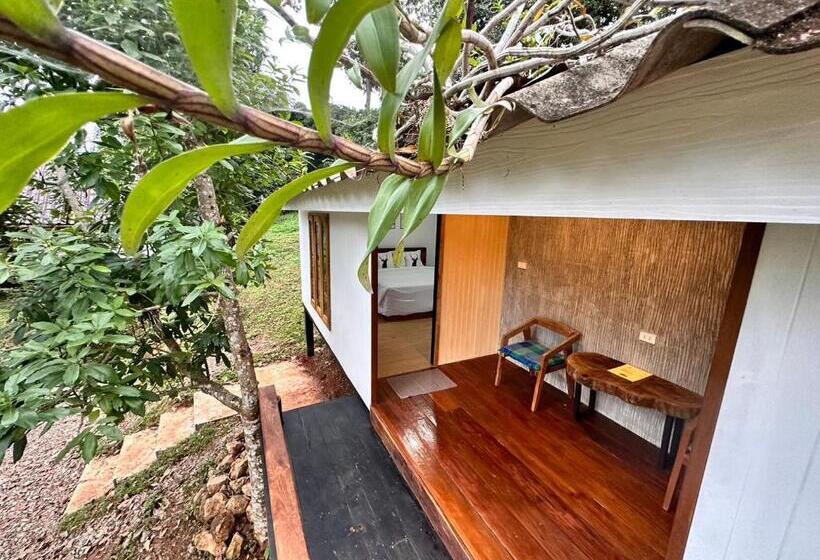 اتاق سوپریور با تخت بزرگ, Jungle Guesthouse
