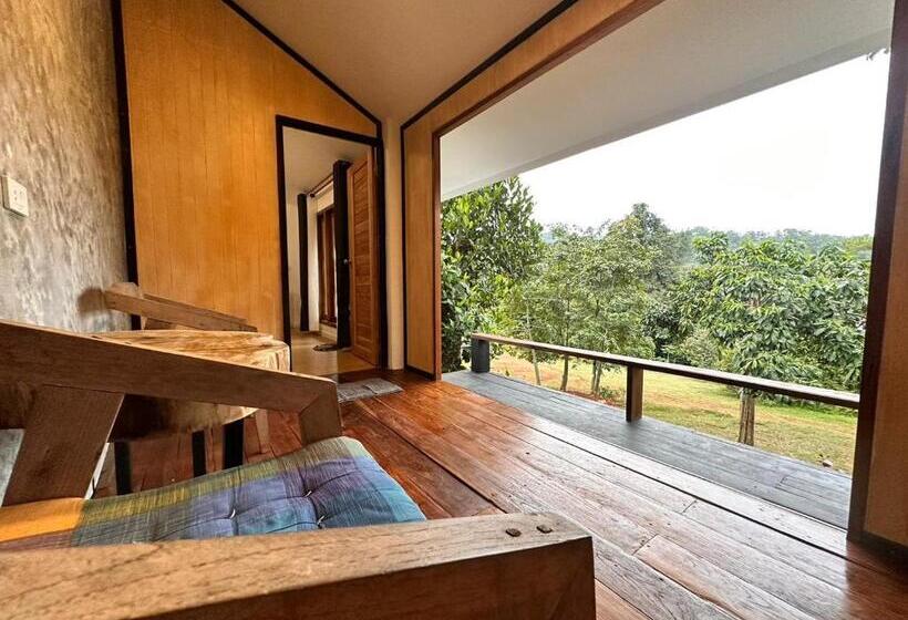 اتاق سوپریور با تخت بزرگ, Jungle Guesthouse