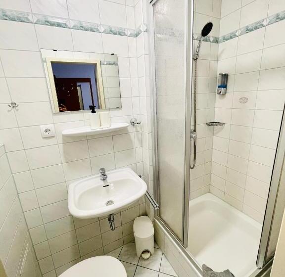 エコノミーシングルルーム, Pension Maria