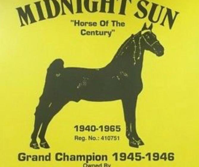 جناح ديلوكس سرير كينج, Belmont Inn