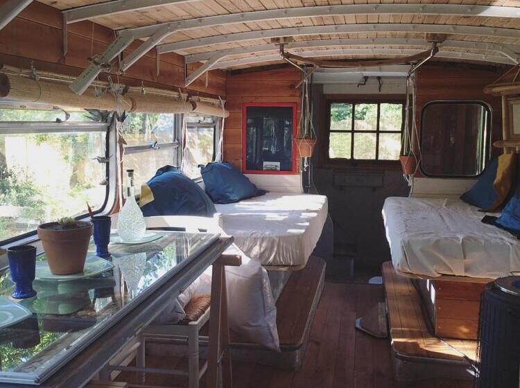 בקתה דלוקס, Cosmic English Bus 2 Floor