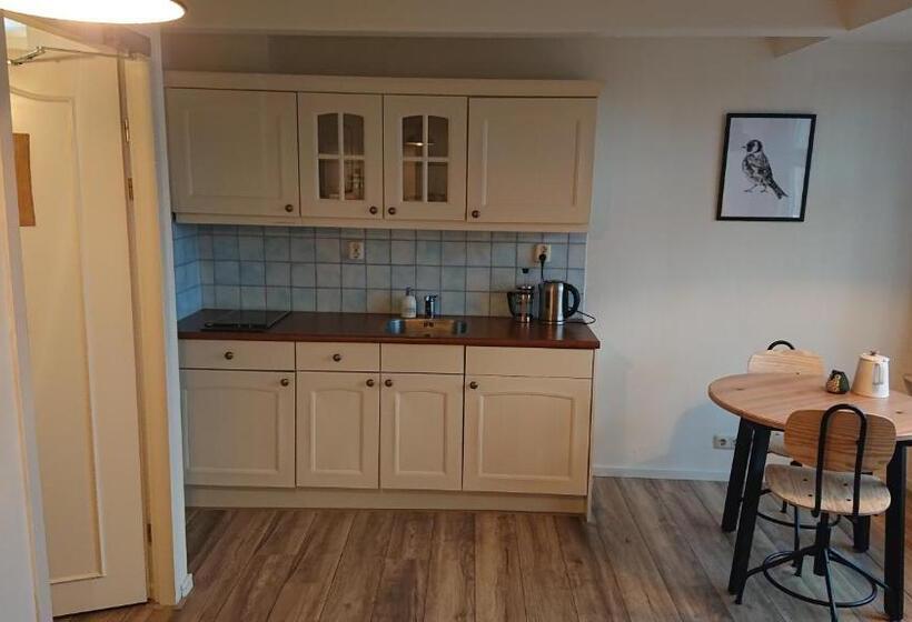 带1个卧室的公寓, De Welvaart   Logement