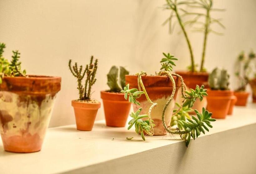 اتاق لوکس با تخت بزرگ, Casa Melgar