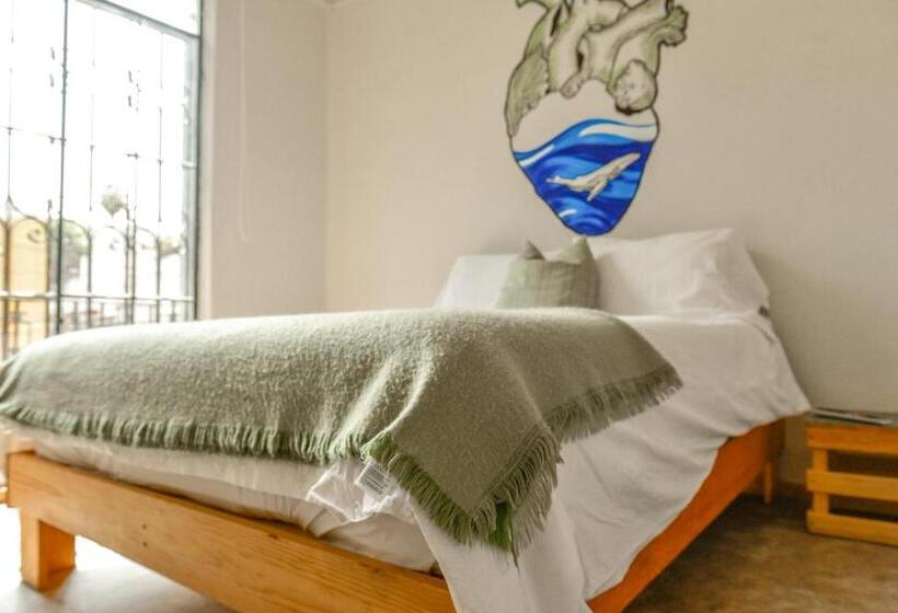 اتاق استاندارد با بالکن, Casa Melgar