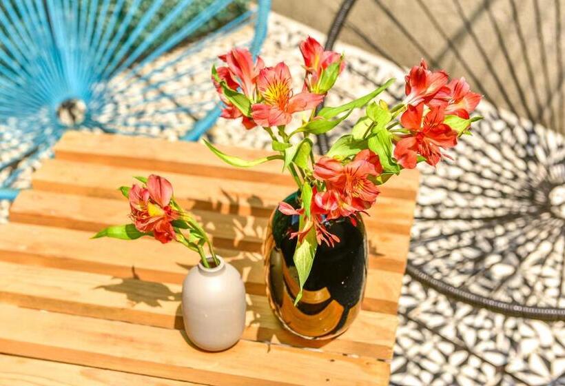 اتاق خانوادگی, Casa Melgar