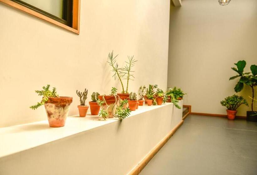 اتاق لوکس, Casa Melgar