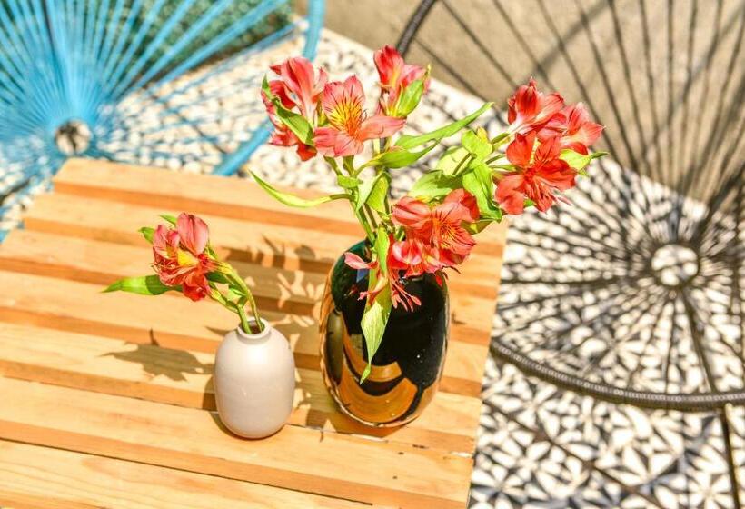 اتاق خانوادگی, Casa Melgar