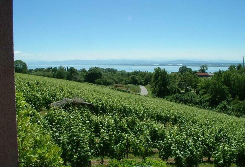 Göl Manzaralı Standart Oda, Haus Am Trielberg