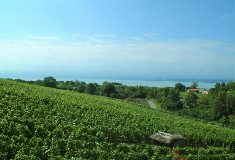 Göl Manzaralı Standart Oda, Haus Am Trielberg
