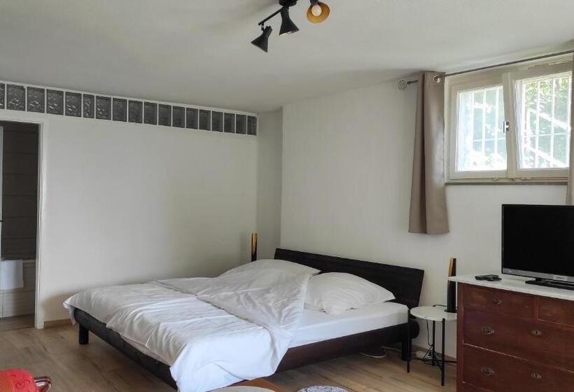 Teraslı Standart Oda, Haus Am Trielberg