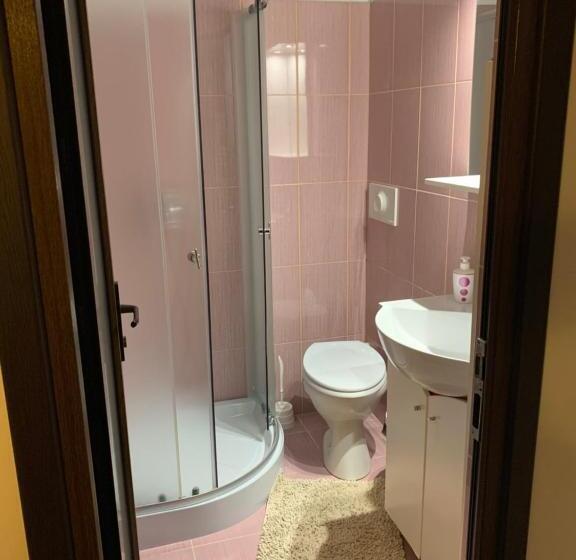 اتاق استاندارد, Pensiunea Pietrosul