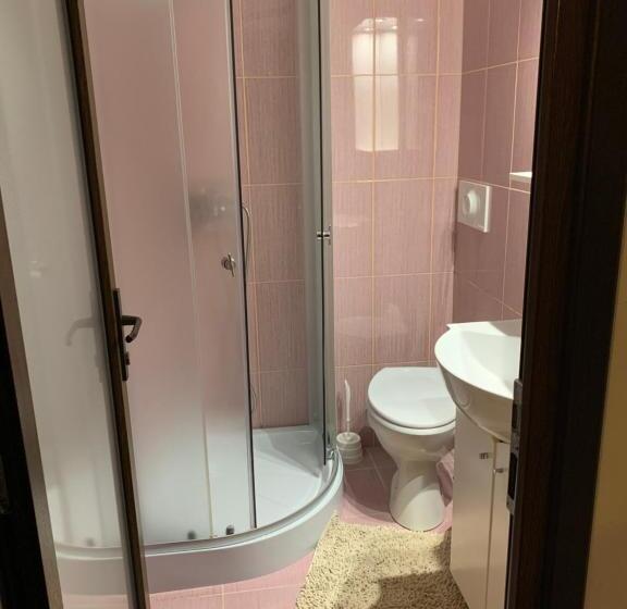 اتاق استاندارد, Pensiunea Pietrosul