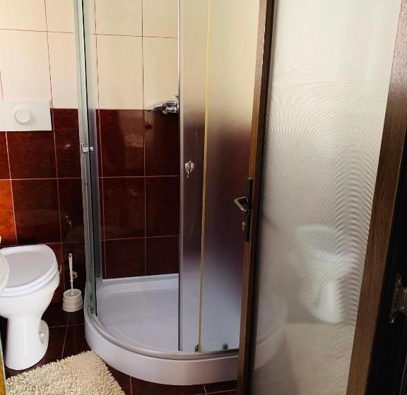 اتاق استاندارد سه نفره, Pensiunea Pietrosul