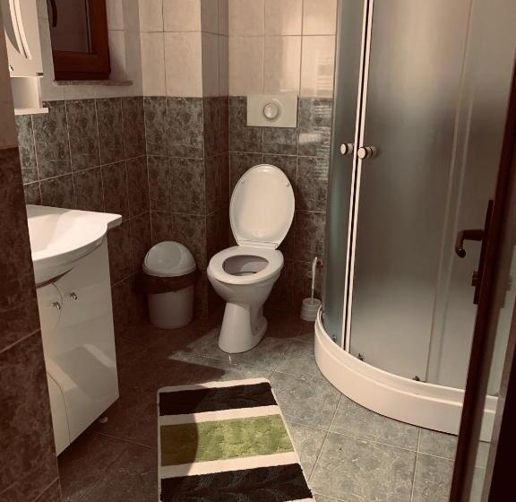 اتاق استاندارد سه نفره, Pensiunea Pietrosul