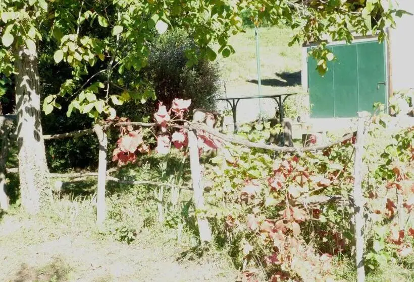 Economy-huone, Il Faggio Rosso