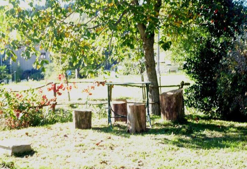 Номер Economy, Il Faggio Rosso