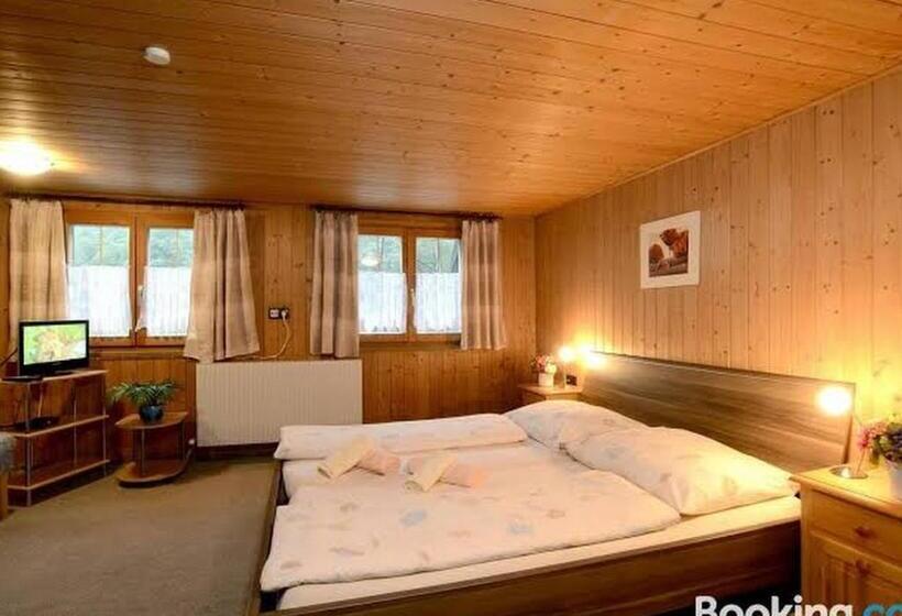 Standardrum Bergsutsikt, Gasthaus Pension Montafonerhüsli