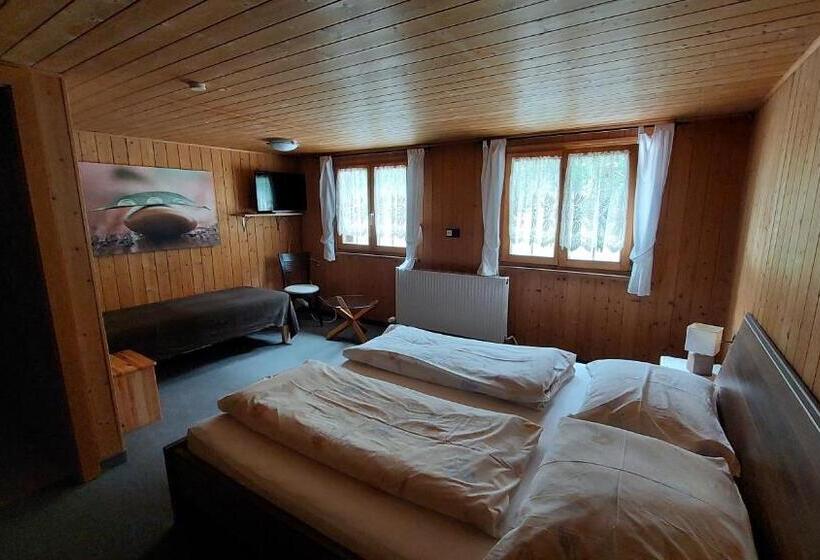 Standardrum Bergsutsikt, Gasthaus Pension Montafonerhüsli