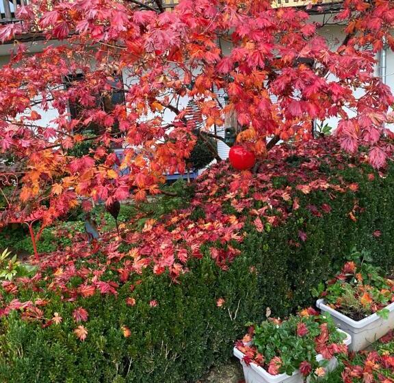 Suite with lake view, Landhaus Grete