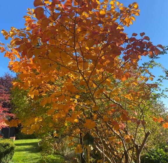 家庭套房, Landhaus Grete