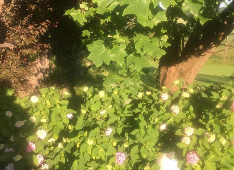 家庭套房, Landhaus Grete