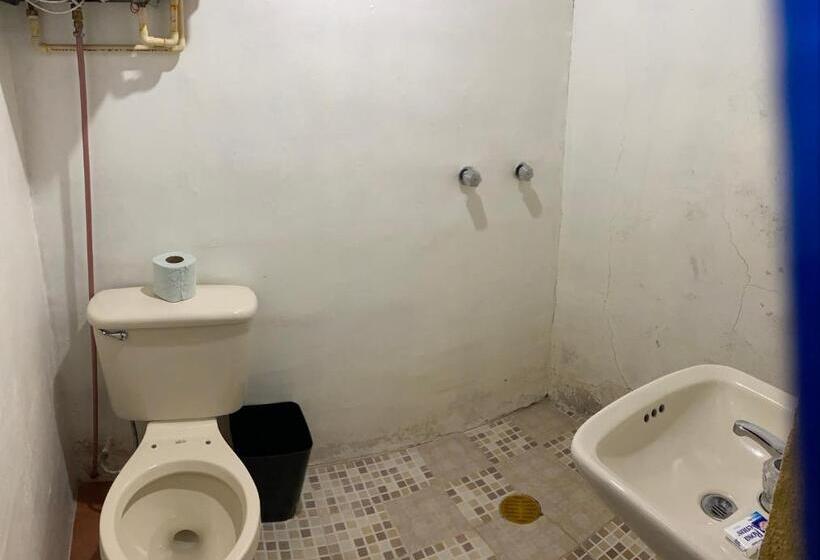 标准间, Cabaña Miroji