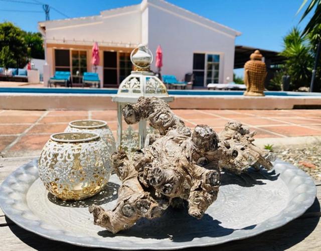 Номер Стандарт Вид на Бассейн, Finca Del Gecko