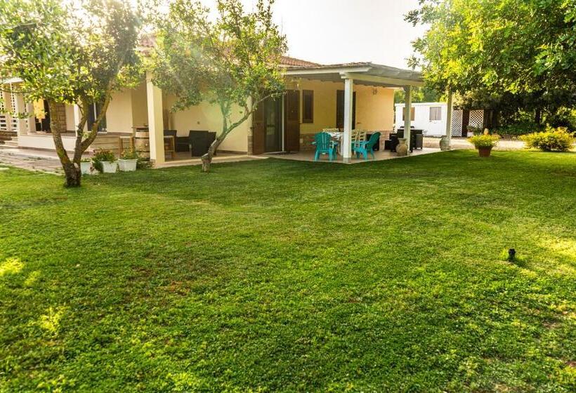 Апартаменты Deluxe 1 Спальня, The Vineyards