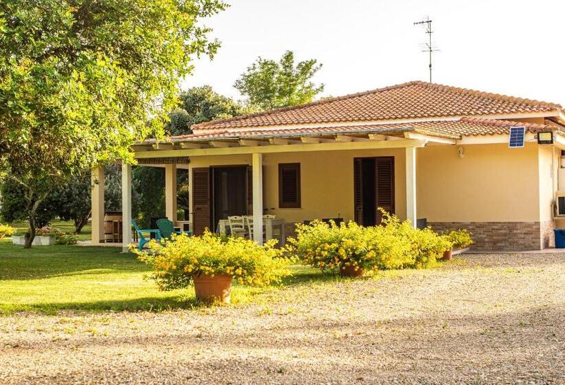 Апартаменты Deluxe 1 Спальня, The Vineyards