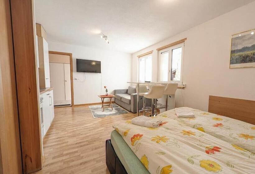 Студия Стандарт, Imhof Alpine B&b Apartments