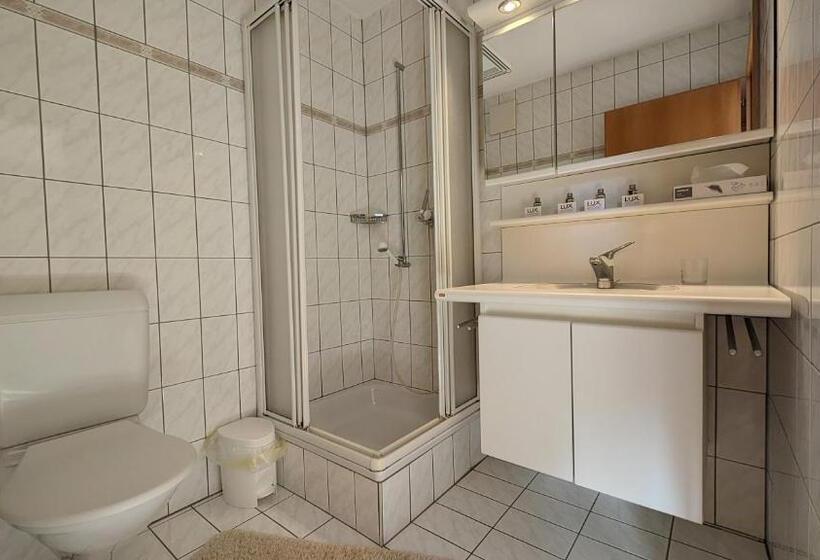 Студия Superior, Imhof Alpine B&b Apartments