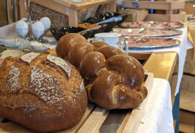 إستديو قياسى مزود بشرفة, Imhof Alpine B&b Apartments