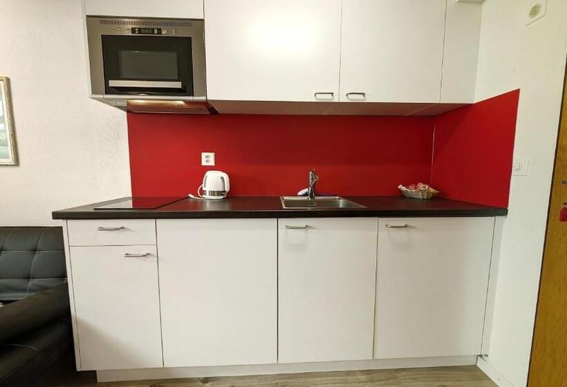 إستديو قياسى مزود بشرفة, Imhof Alpine B&b Apartments