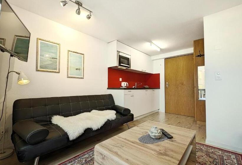 إستديو قياسى مزود بشرفة, Imhof Alpine B&b Apartments