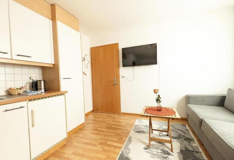 إستوديو قياسى, Imhof Alpine B&b Apartments