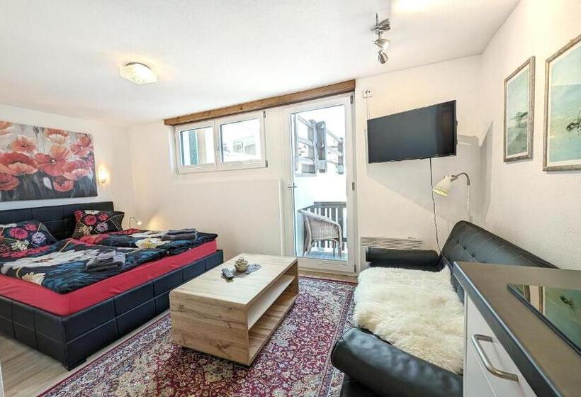 إستديو قياسى مزود بشرفة, Imhof Alpine B&b Apartments
