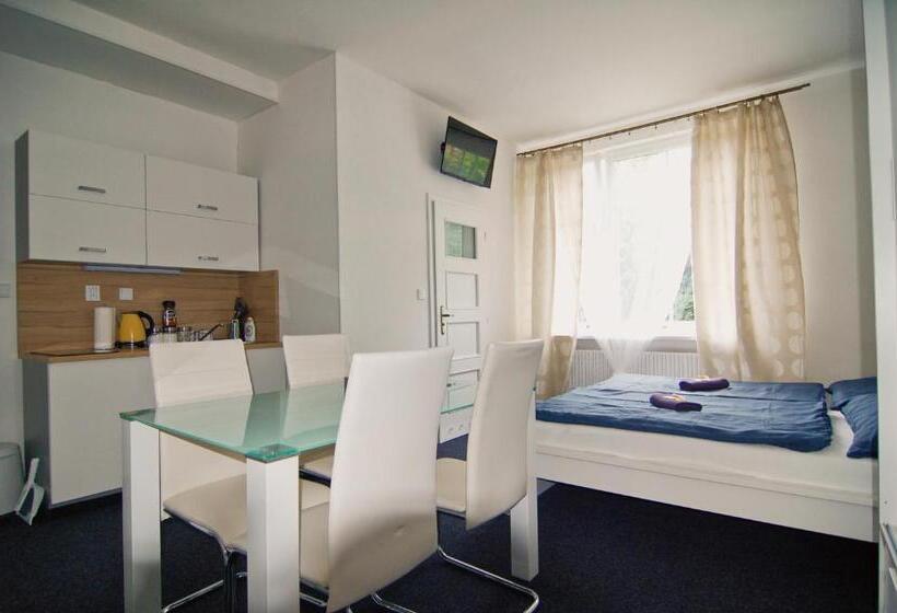 شقة سوبريور غرفة واحدة, Aparthotel Vítkovice