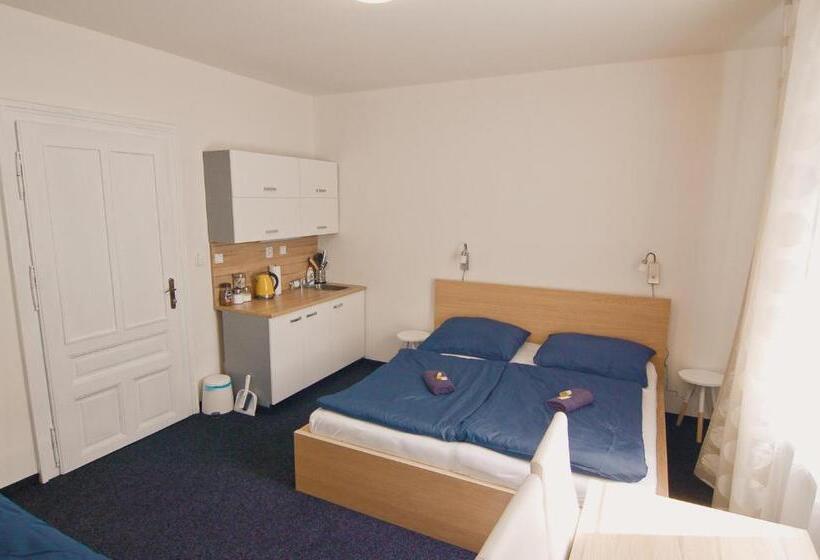 شقة غرفة واحدة, Aparthotel Vítkovice