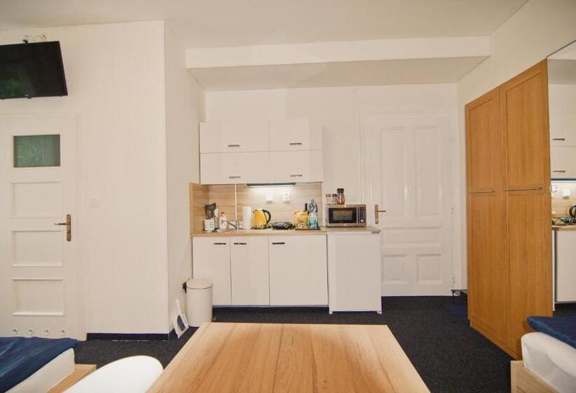 آپارتمان سوپریور 1 خوابه, Aparthotel Vítkovice