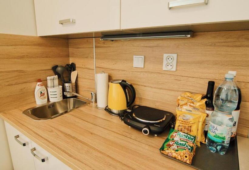 شقة سوبريور غرفة واحدة, Aparthotel Vítkovice