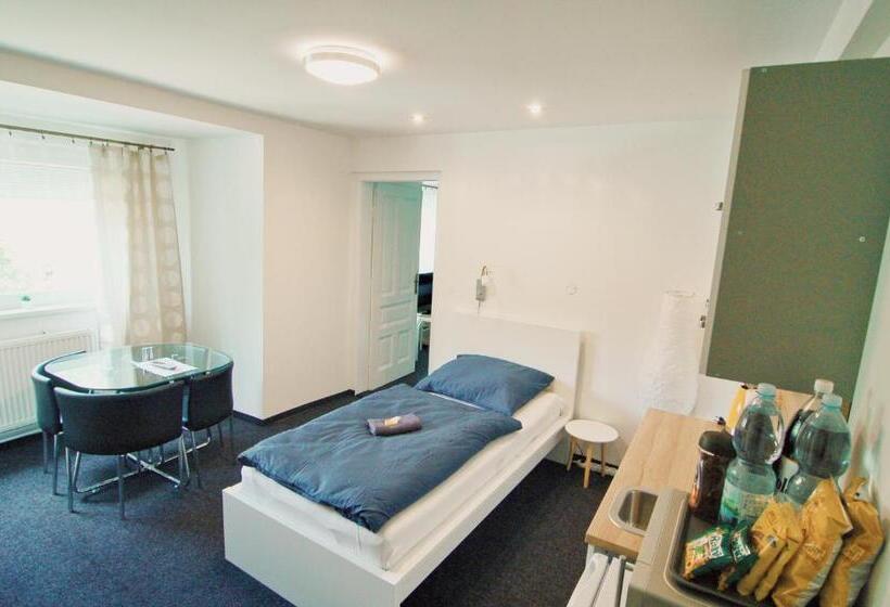 شقة غرفة واحدة, Aparthotel Vítkovice