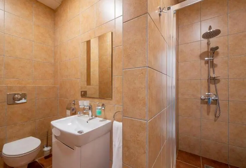 1ベッドルームのデラックスアパートメント, Apartmany Style